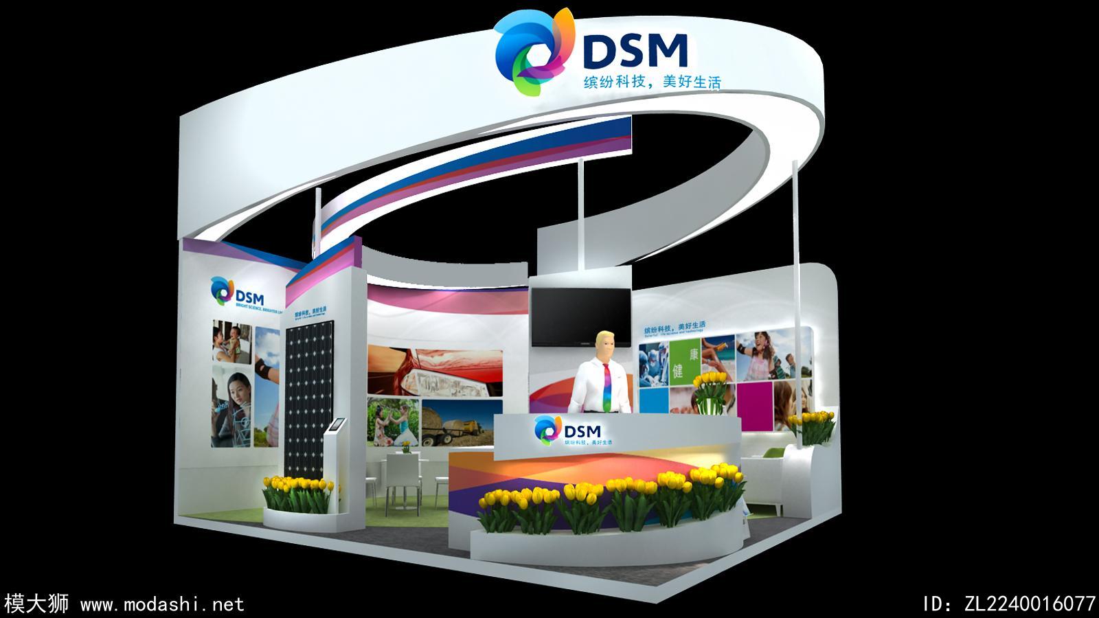 DSM展台模型