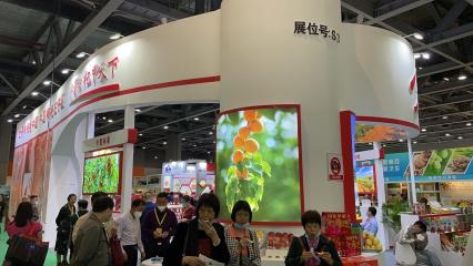 2021广州国际森林食品交易博览会